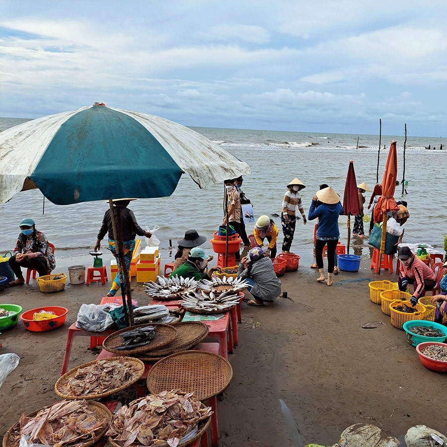 Nhiều du khách  hải sản tươi ngay trên mép nước tại bến thuyền neo đậu của ngư dân