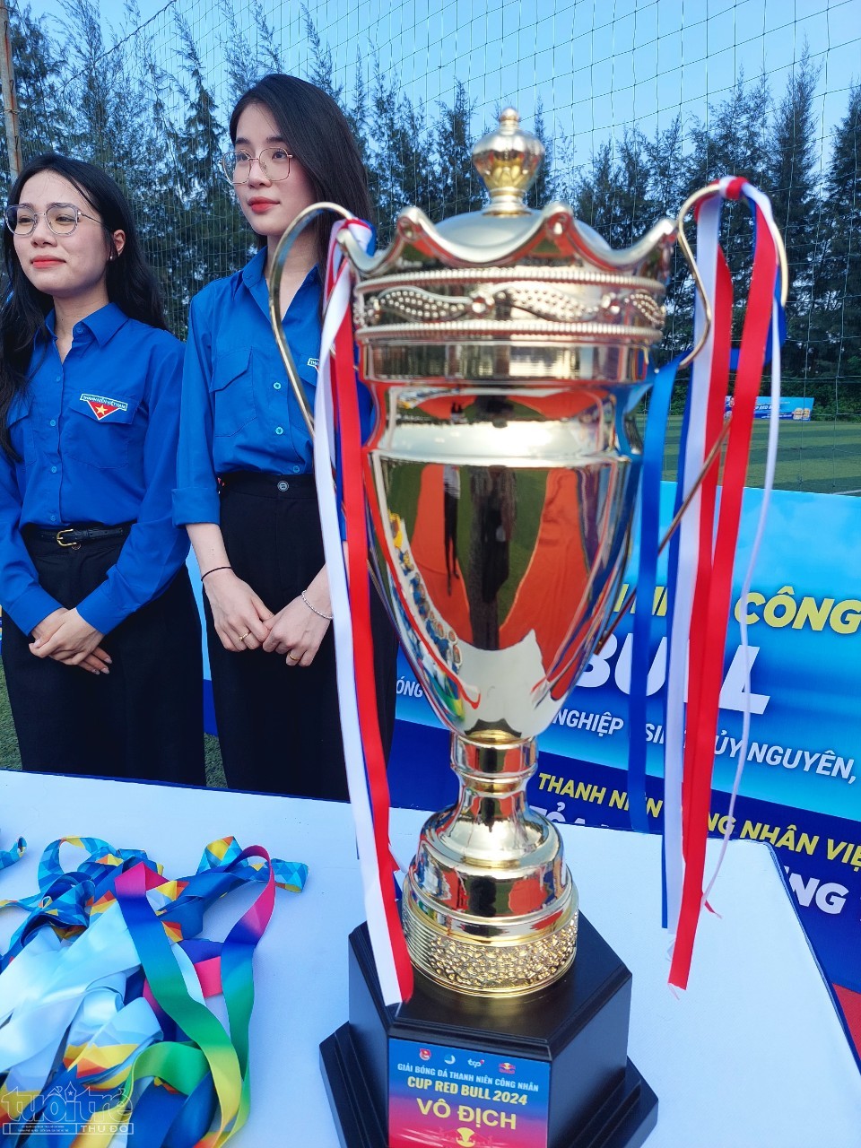 Cup của Giải đấu