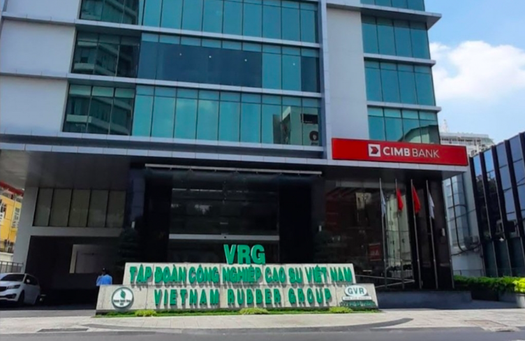 Tập đoàn Công nghiệp Cao su Việt Nam đã sai phạm những gì?