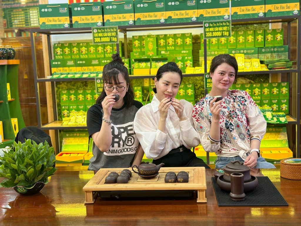 Du khách thưởng trà tại không gian văn hóa trà.