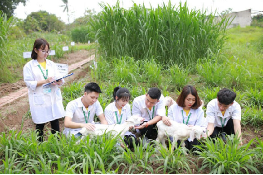 Sinh viên Khoa Chăn nuôi thú y được thực tập trong môi trường chuyên nghiệp