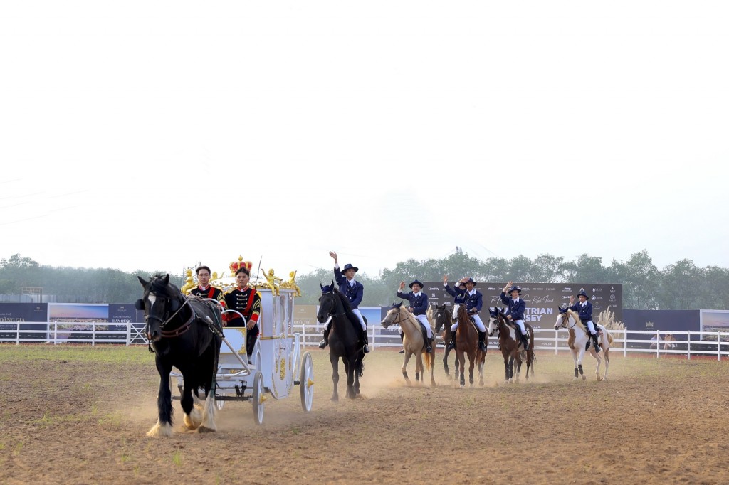 Các loại ngựa quý được du nhập về Học viện đua ngựa Vũ Yên