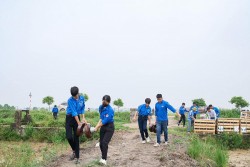 Thanh niên tình nguyện trên công trường đường dây 500 KV mạch 3