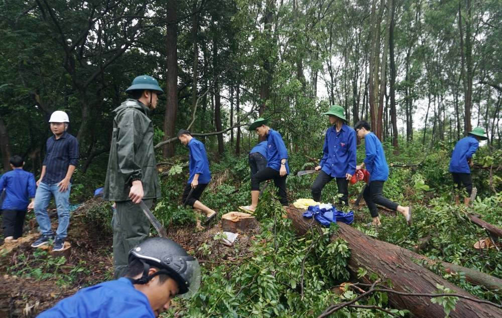 Tỉnh đoàn Thanh Hóa huy động khoảng 1.500 thanh niên tham gia tiếp sức dự án đường dây 500kV mạch 3 qua địa bàn tỉn