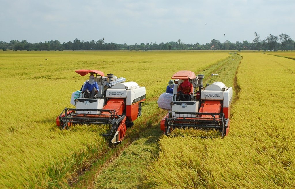 Thể chế hoá thành những quy định cụ thể để giúp người nông dân sống được từ đất lúa
