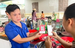 Tình nguyện Thủ đô “phủ xanh” Hà Nội