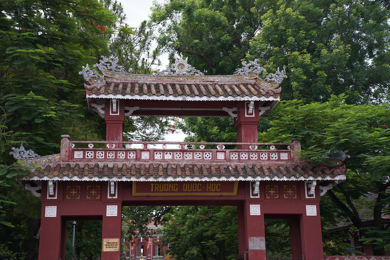 Cổng trường Quốc học Huế nổi bật trong sắc xanh của cây cối xung quanh.