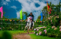 Khai mạc mùa giải “Vó ngựa trên mây” lần thứ 7 với những trải nghiệm độc đáo chỉ có tại Sa Pa