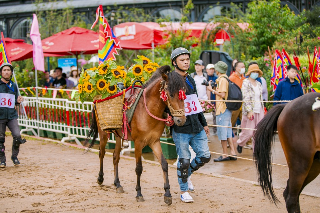 Khai mạc mùa giải “Vó ngựa trên mây” lần thứ 7 với những trải nghiệm độc đáo chỉ có tại Sa Pa