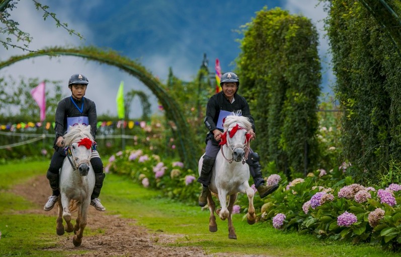 Du khách tới Sa Pa hào hứng cổ vũ cho những chú ngựa "tung vó đạp mây"