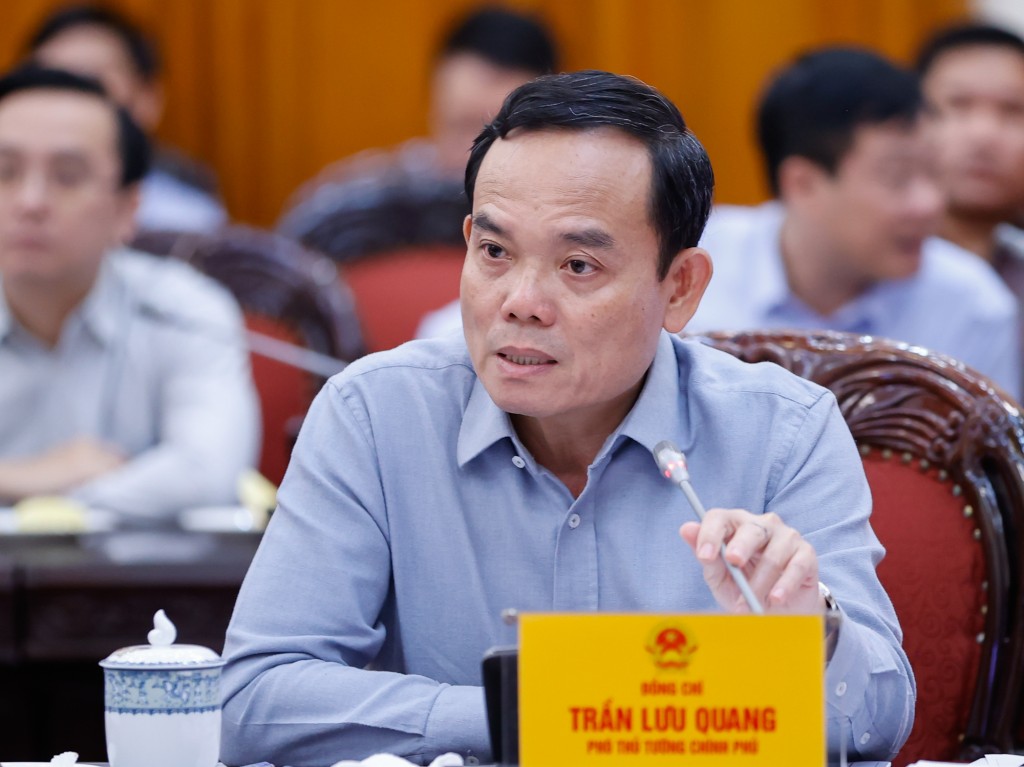Phó Thủ tướng Trần Lưu Quang phát biểu tại cuộc họp - Ảnh: VGP/Nhật Bắc