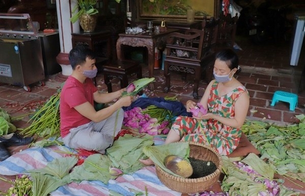 Trà sen Tây Hồ: Thức uống tinh túy, tao nhã của người Hà Nội