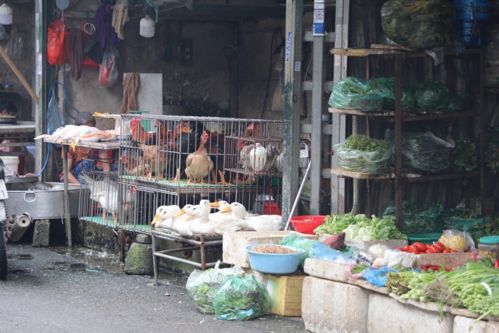 Gia súc, gia cầm được bày bán bên cạnh thực phẩm rau quả tại một chợ dân sinh trên địa bàn Hà Nội