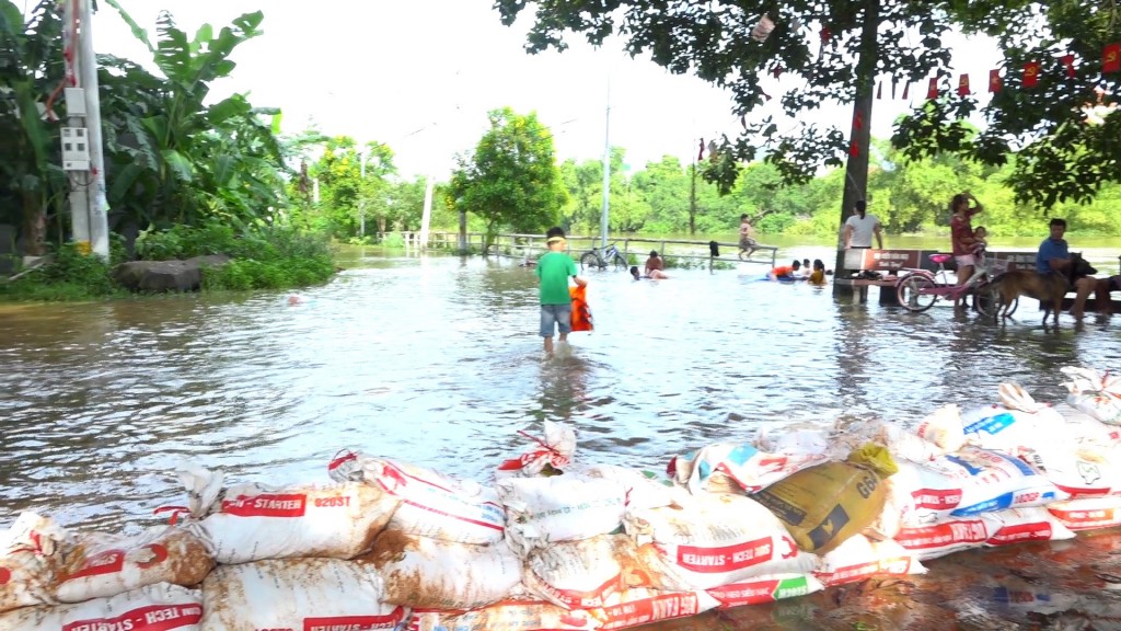 Huyện Thạch Thất tích cực ứng phó với mưa lũ