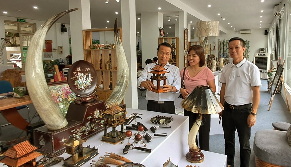 Chương trình OCOP: Động lực quan trọng trong xây dựng Nông thôn mới nâng cao, kiểu mẫu