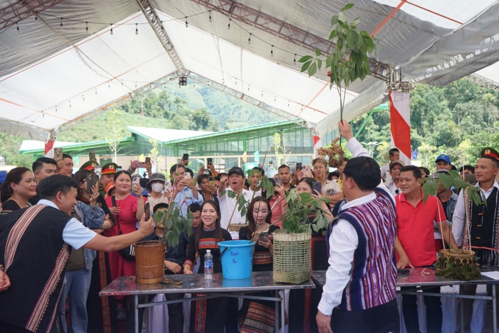 Mặc dù lần đầu tiên được tổ chức, nhưng buổi đấu giá sâm Ngọc Linh diễn ra rất sối nổi. (Ảnh: quangnam.gov.vn)