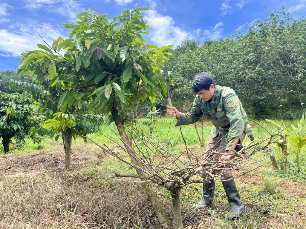 Kon Tum: Người dân chua xót nhìn đất đai, hoa màu trôi sông