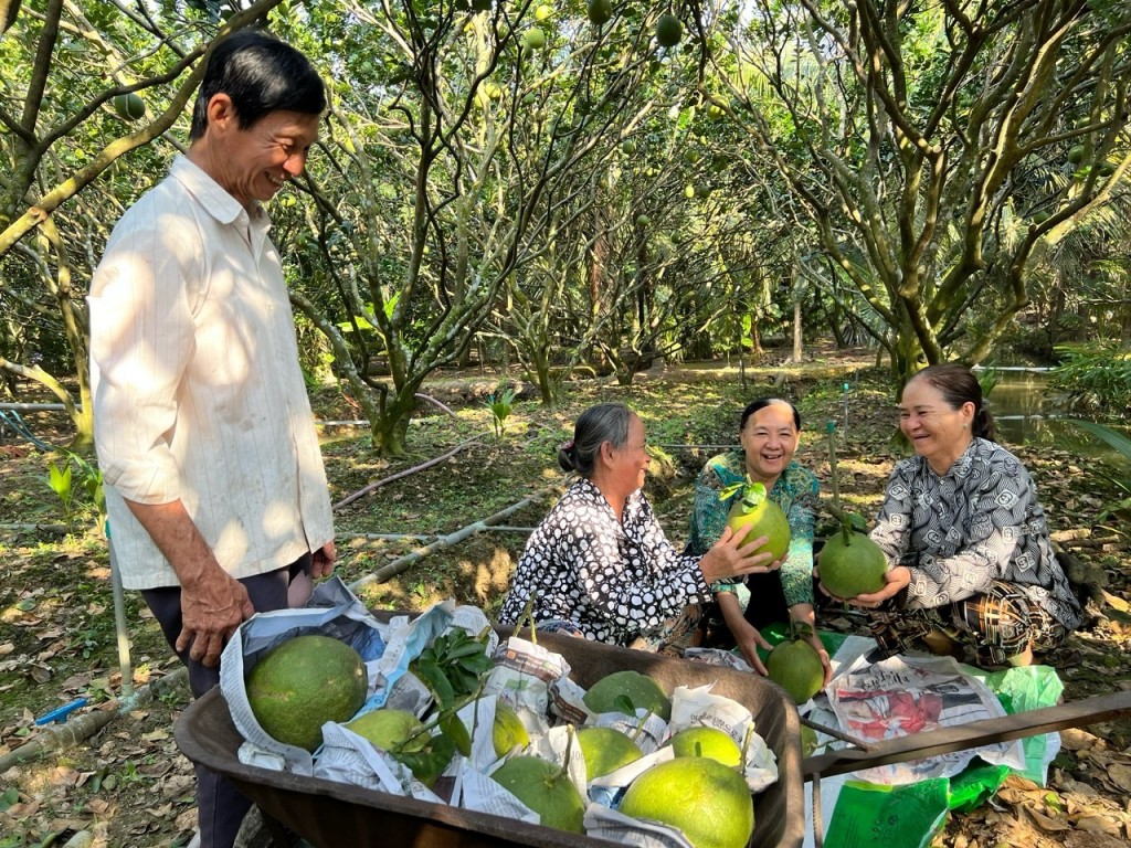 Phân bón Cà Mau thắng lớn 6 tháng đầu năm nhờ đâu?