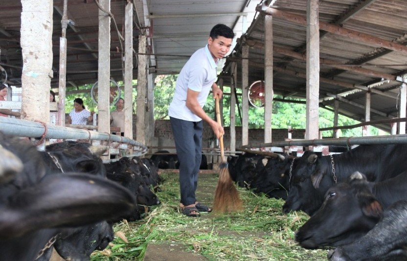 Hỗ trợ nâng cao hiệu quả chăn nuôi