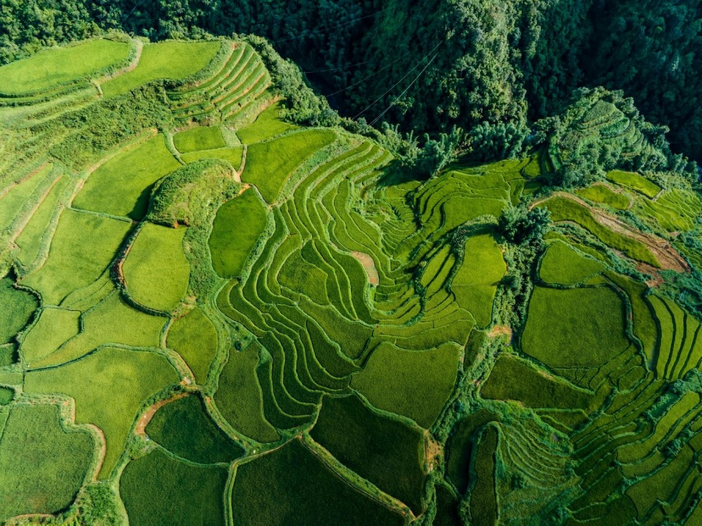 Sa Pa mùa lúa xanh - thiên đường nơi hạ giới