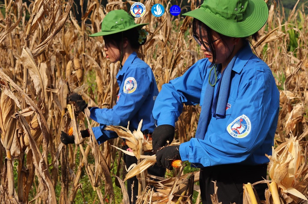 Đâu cần thanh niên có, đâu khó có thanh niên