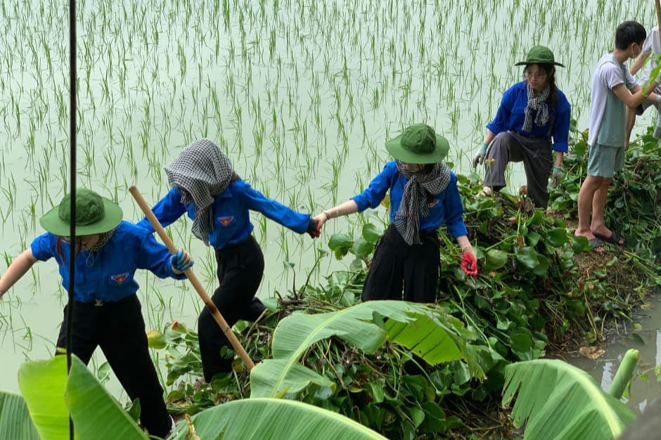 Màu áo xanh xuất hiện trên những con đường