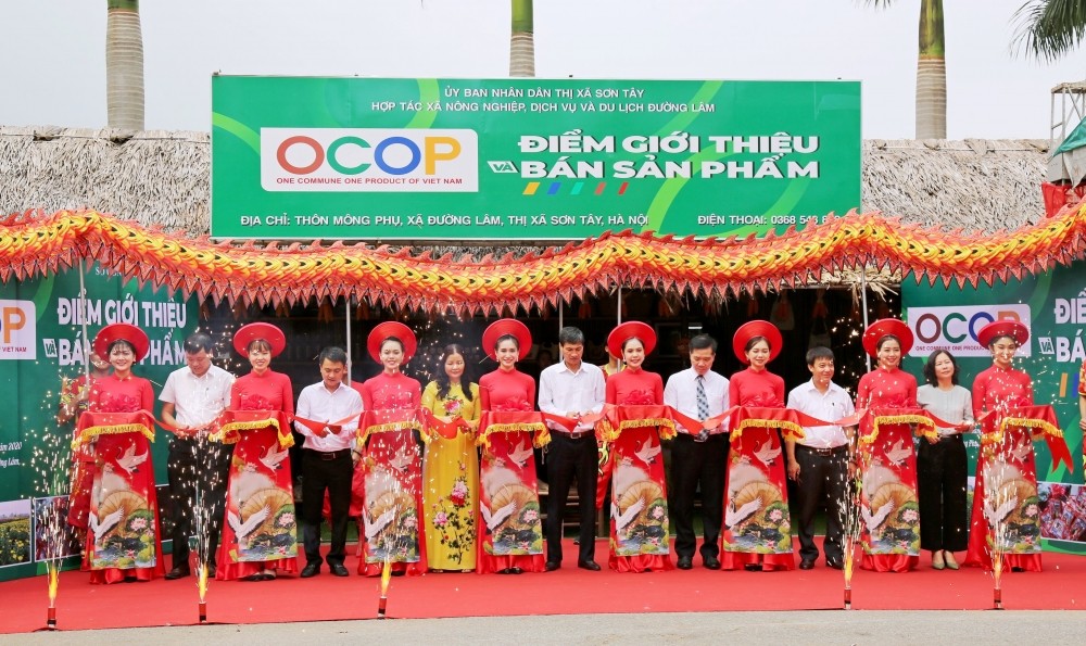 Tiềm năng phát triển sản phẩm OCOP của thị xã Sơn Tây