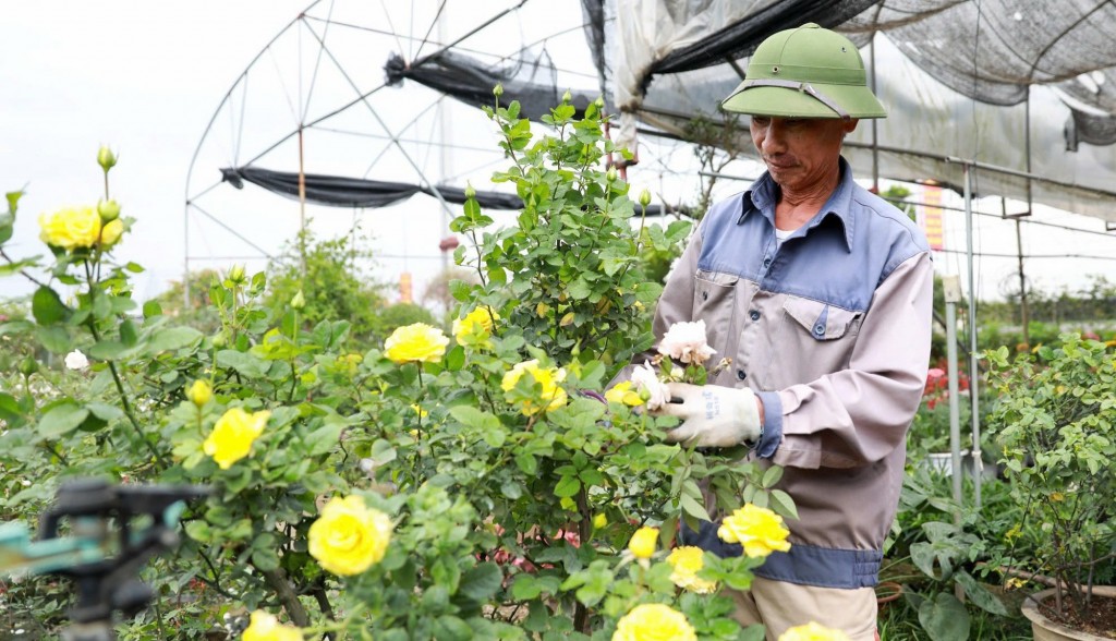 Đưa sản phẩm OCOP trở thành mũi nhọn phát triển kinh tế nông thôn