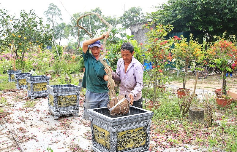 Cùng nông dân tháo gỡ vướng mắc trong sản xuất nông nghiệp