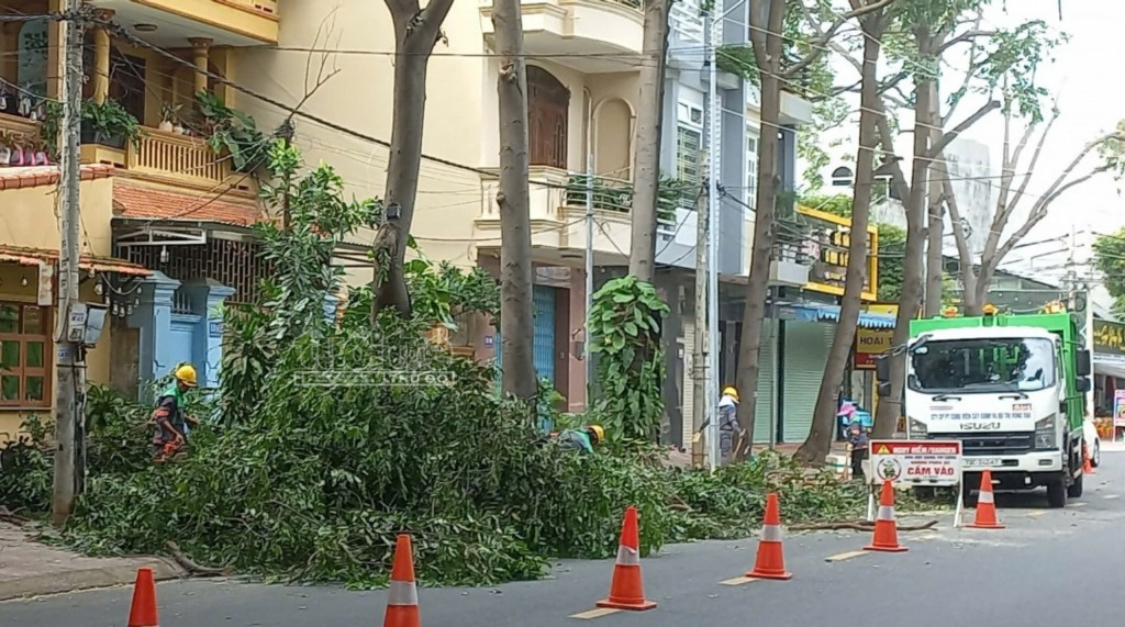 Bà Rịa - Vũng Tàu: Tăng cường công tác phòng, chống thiên tai