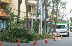 Bà Rịa - Vũng Tàu: Tăng cường công tác phòng, chống thiên tai