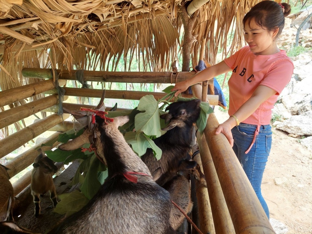 Nâng cao quyền năng kinh tế cho phụ nữ dân tộc thiểu số