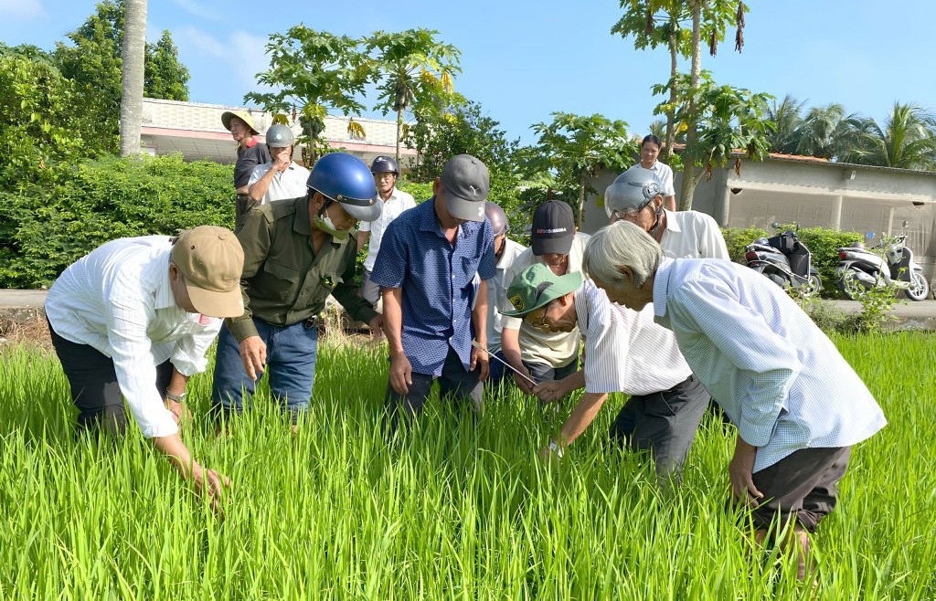 Long An nỗ lực thoát nghèo bền vững