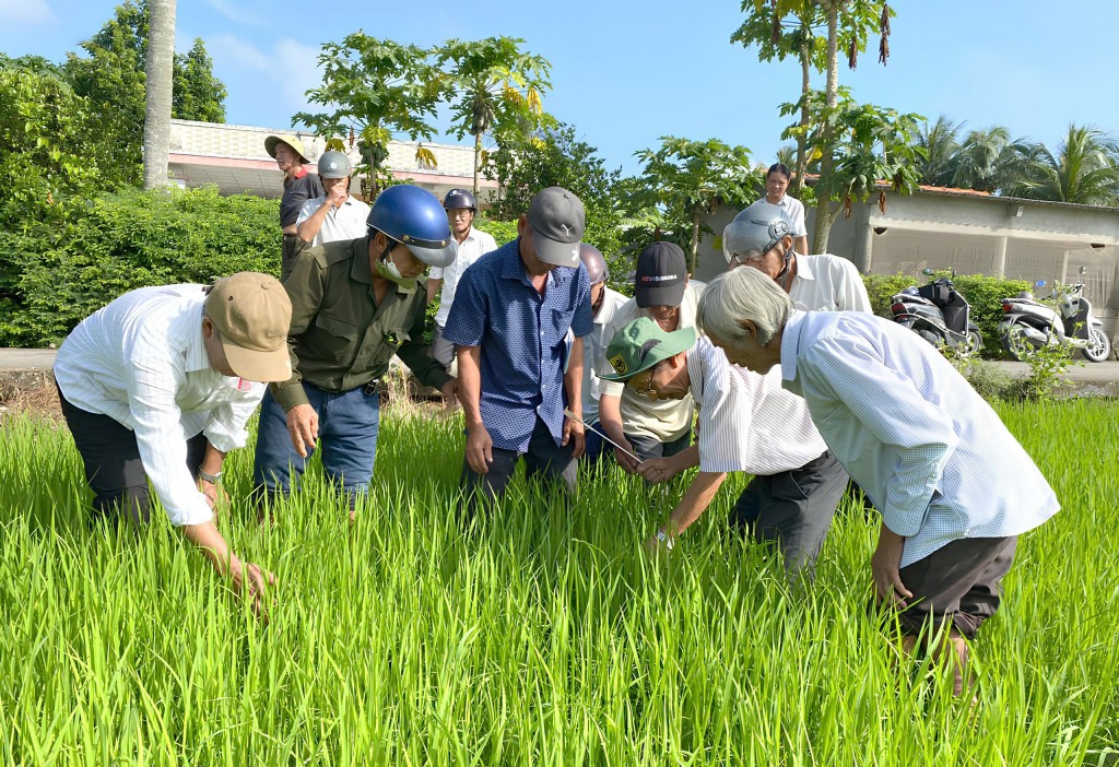 Lao động nông thôn tham gia các lớp đào tạo nghề tại địa phương