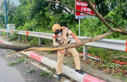 TP Hồ Chí Minh khuyến cáo người dân gia cố nhà ở phòng bão