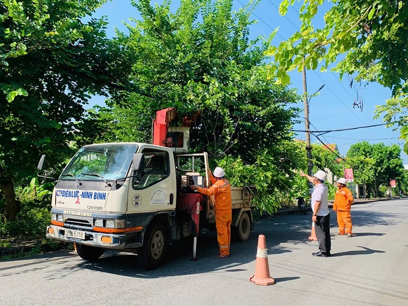 2.	PC Ninh Bình tổ chức chặt tỉa, phát quang hành lang lưới điện trước khi báo số 3 đổ bộ vào đất liền