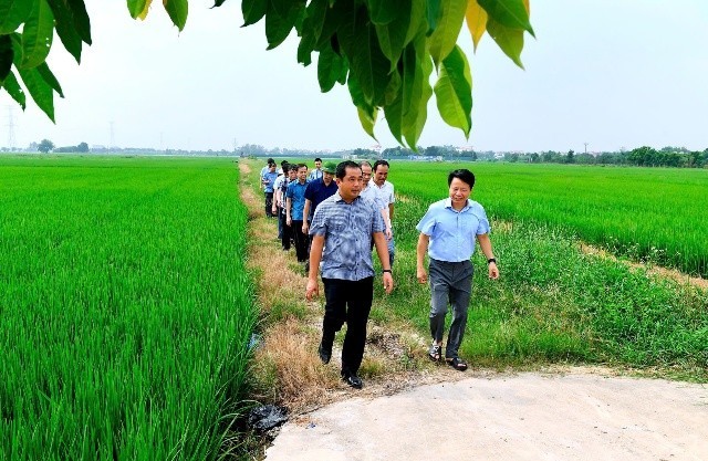 Học sinh Hải Dương nghỉ học ngày 7/9 để tránh bão số 3