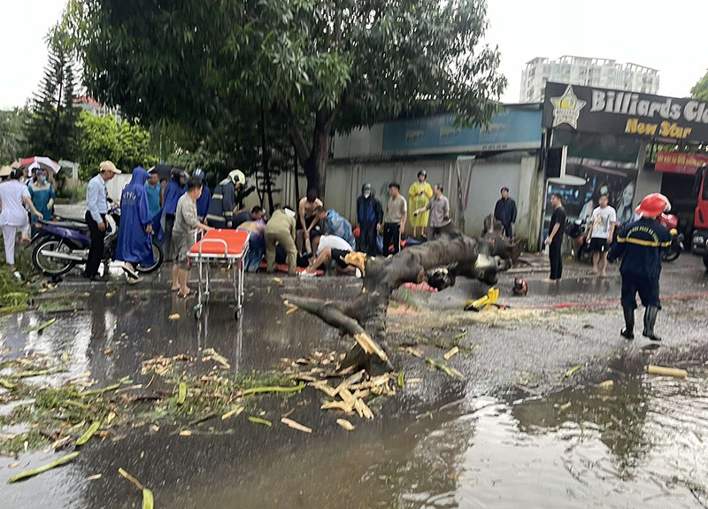 Hà Nội: Giông lốc mạnh khiến cây đổ đè 2 người thương vong