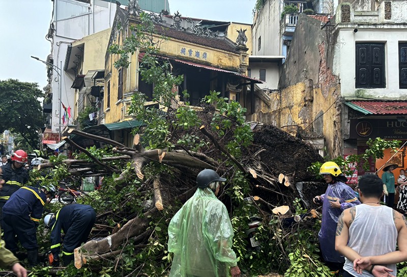 Hiện trường vụ cây đổ tại 11 phố Hàng Cá gây sập tường, 3 người bị thương nhẹ