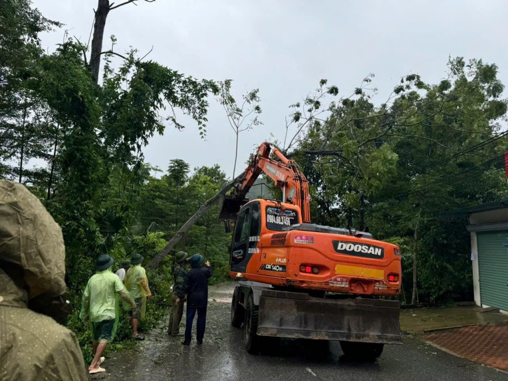 Xử lý cây gãy đổ trên địa bàn huyện Thạch Thất