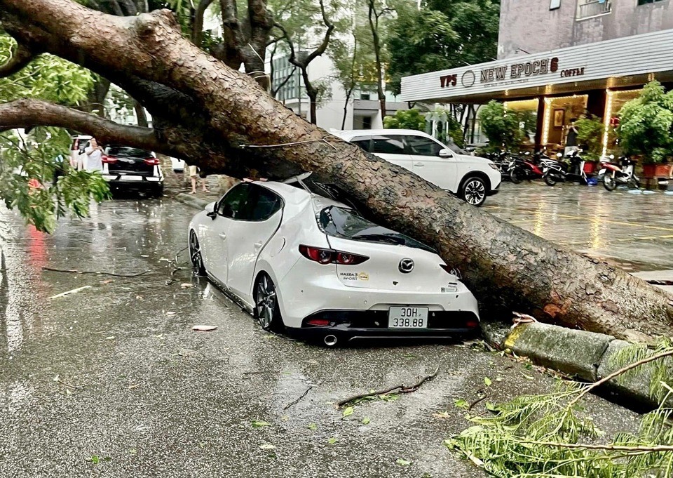 Hà Nội: Gần 500 cây gãy đổ, nhiều phương tiện giao thông hư hỏng