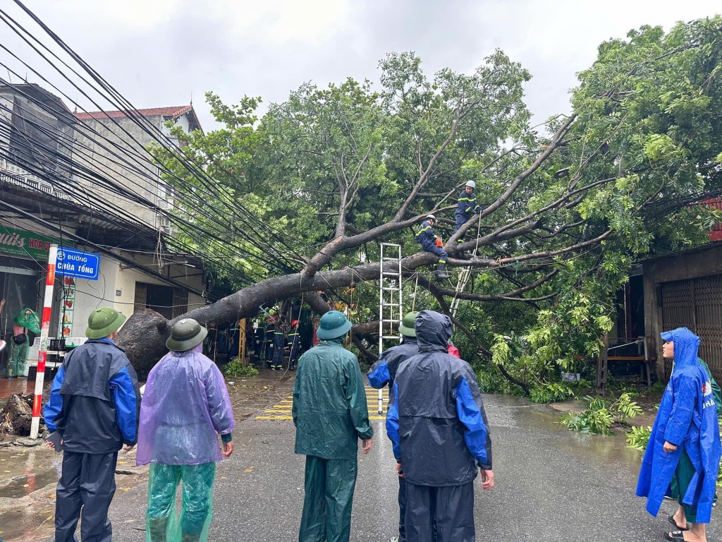 Quận Hà Đông: Nhanh chóng khắc phục các sự cố do bão Yagi