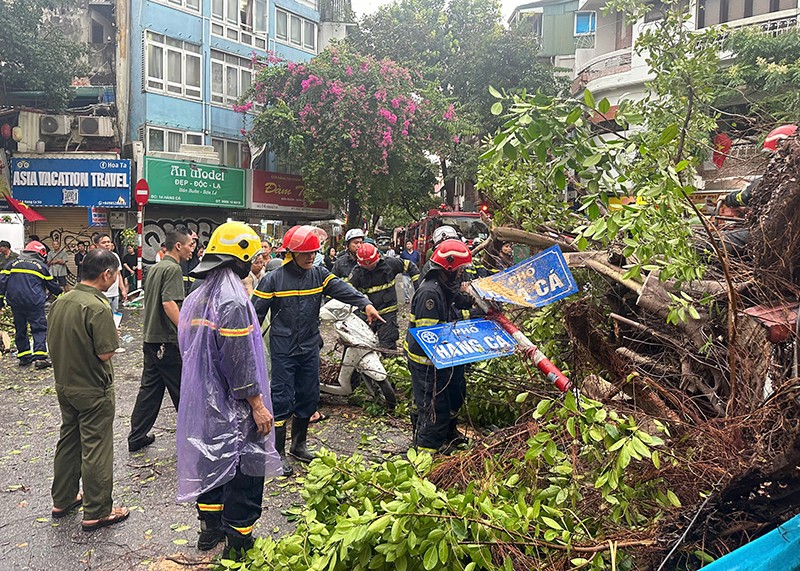 Lực lượng Cảnh sát PCCC và CNCH Công an quận Hoàn Kiếm phối hợp với các lực lượng của phường Hàng Đào giải phóng hiện trường vụ cây xanh gãy đổ do ảnh hưởng bởi siêu bão Yagi (bão số 3)