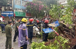 Quận Hoàn Kiếm được tuyên dương trong công tác phòng, chống siêu bão Yagi