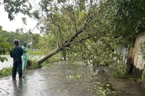 Huyện Ứng Hoà tập trung cho công tác ứng phó với bão số 3