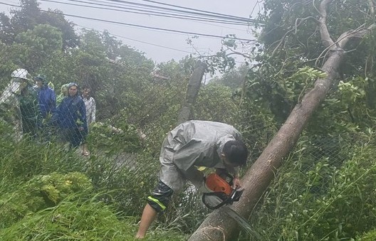 Tập trung xử lý giao thông, cấp điện, tiêu nước sau bão