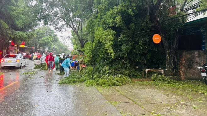 Ứng Hoà: Bão số 3 làm trên 2.000 ha lúa mùa bị đổ