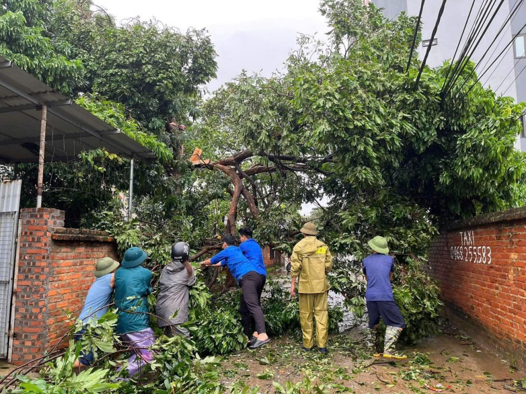 Các lực lượng