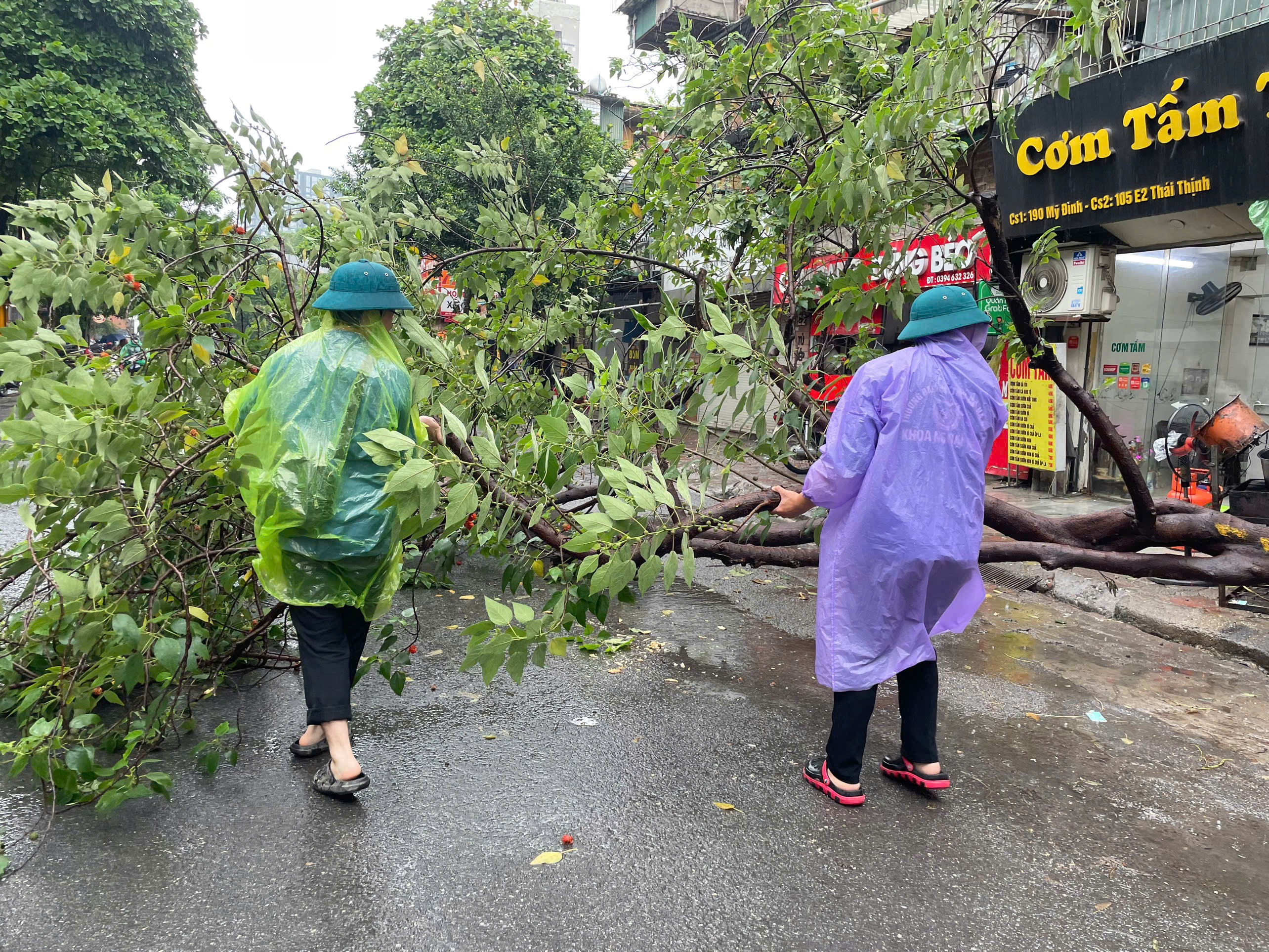 Dù sáng nay vẫn còn mưa nhưng lực lượng thanh niên phường Trung Liệt (quận Đống Đa, Hà Nội) đã nhanh chóng phối hợp cùng các lực lượng khác di chuyển cây đổ, hỗ trợ Nhân dân,...