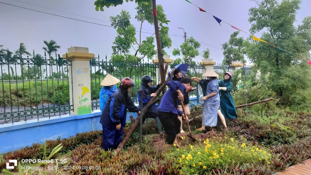 Giáo viên Hà Nội khẩn trương khắc phục hậu quả bão số 3 Giáo viên Hà Nội khẩn trương khắc phục hậu quả bão số 3